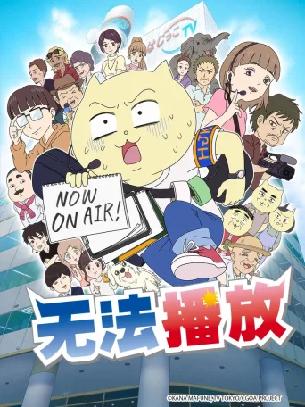 不能播放！