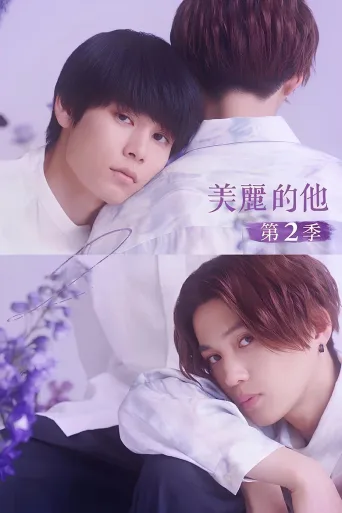 美丽的他