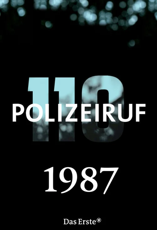第 17 季