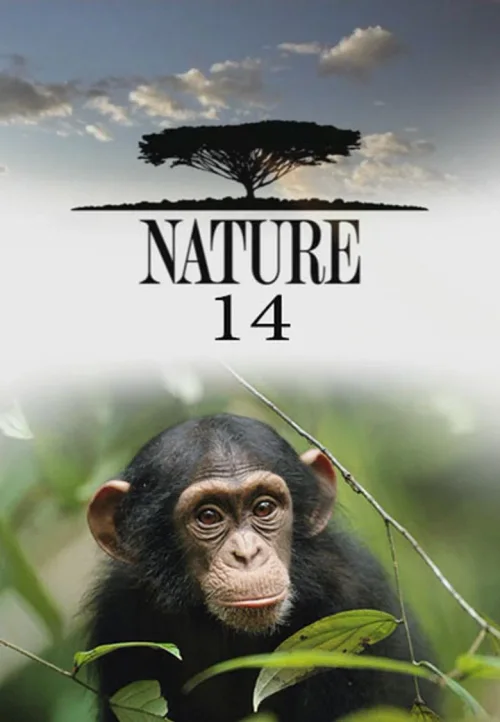 第 14 季