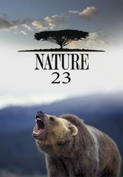 第 23 季