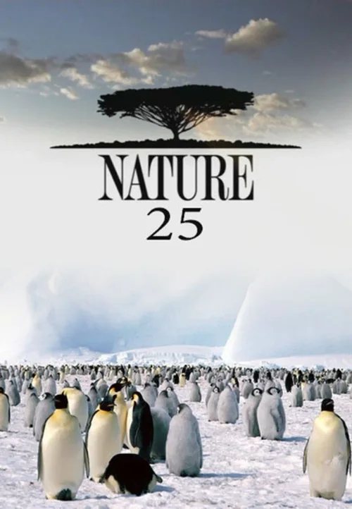 第 25 季
