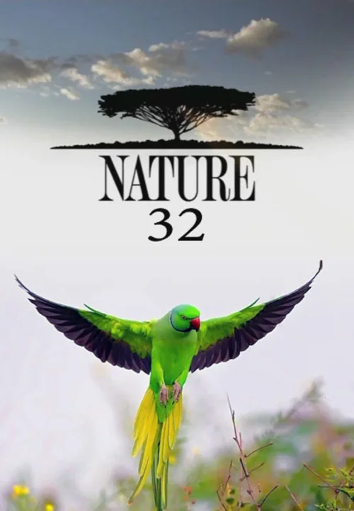 第 32 季