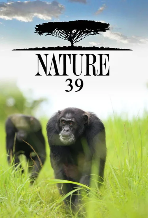 第 39 季