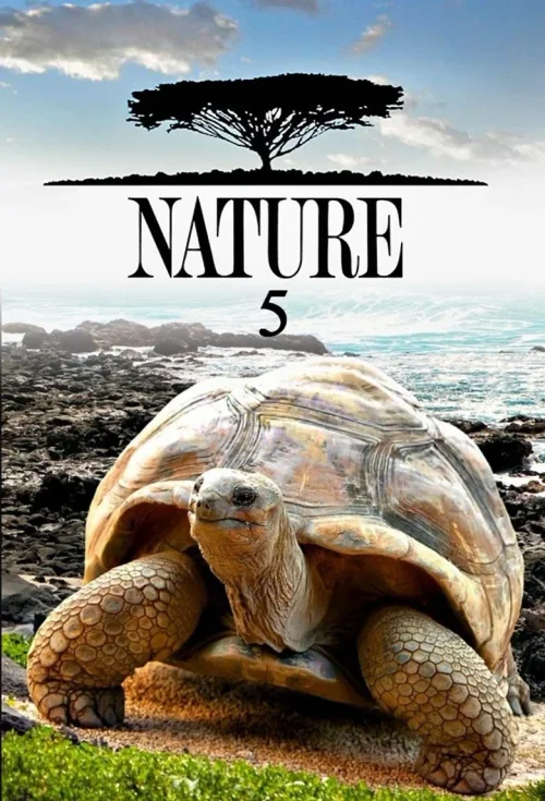 第 5 季