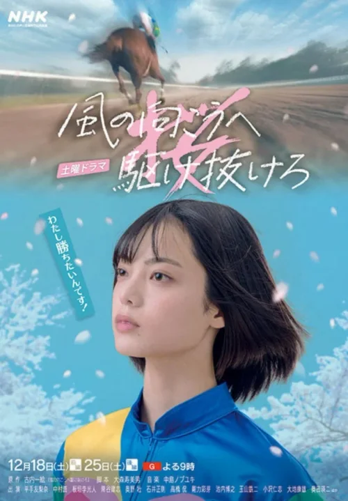 向着风的那边奔跑吧