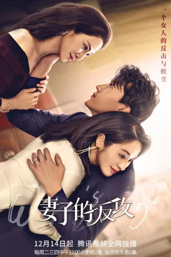 妻子的反攻