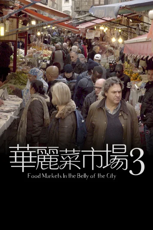 第 3 季