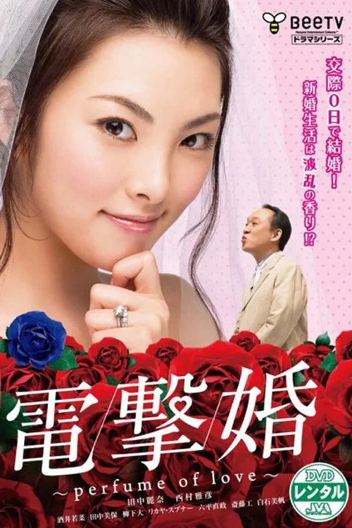 电击婚