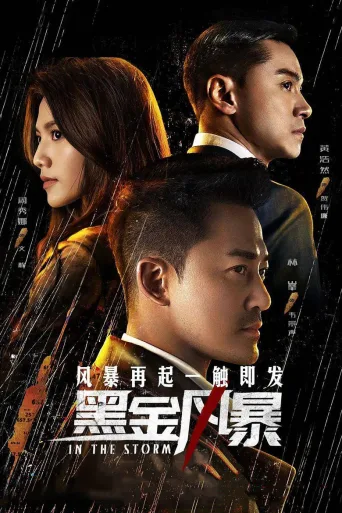 黑金风暴