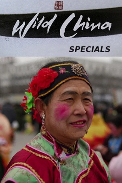 特别篇