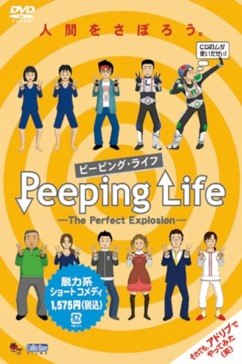 第 6 季