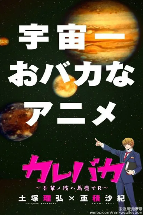 笨蛋男友 ~我的男友是笨蛋~