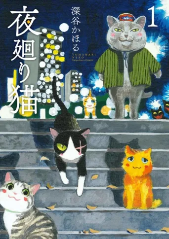 夜巡猫