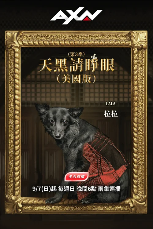第 3 季