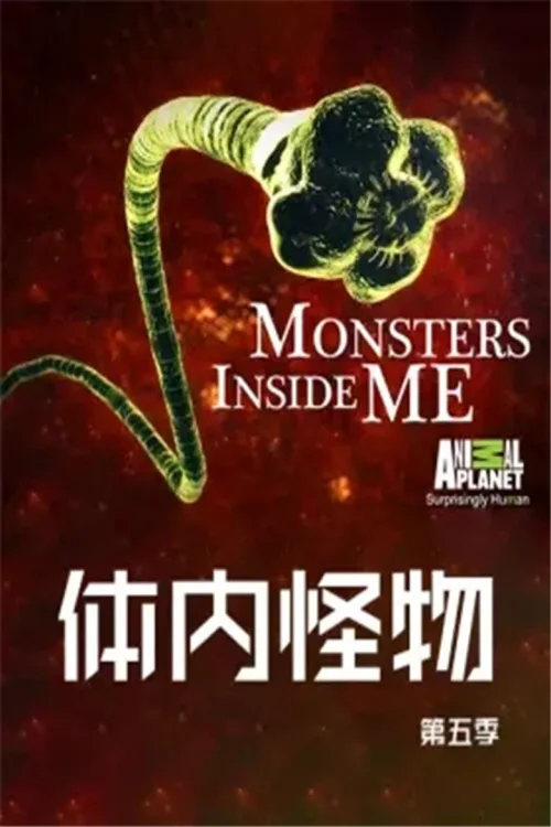 第 5 季