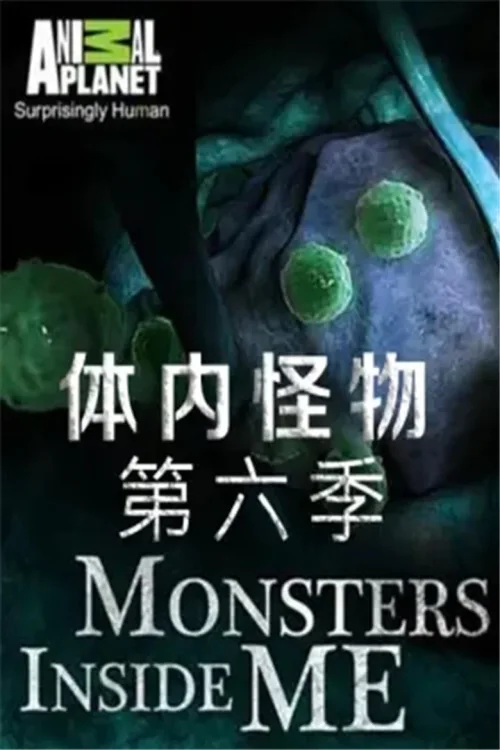 第 6 季