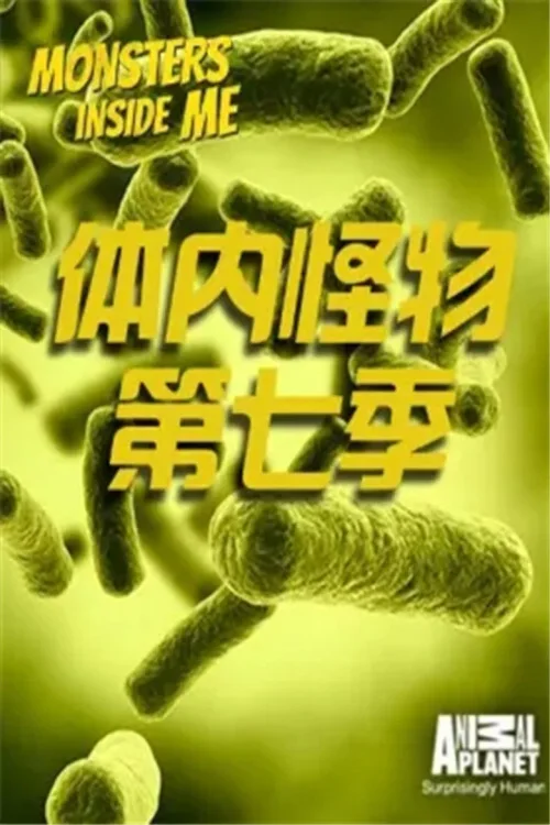 第 7 季