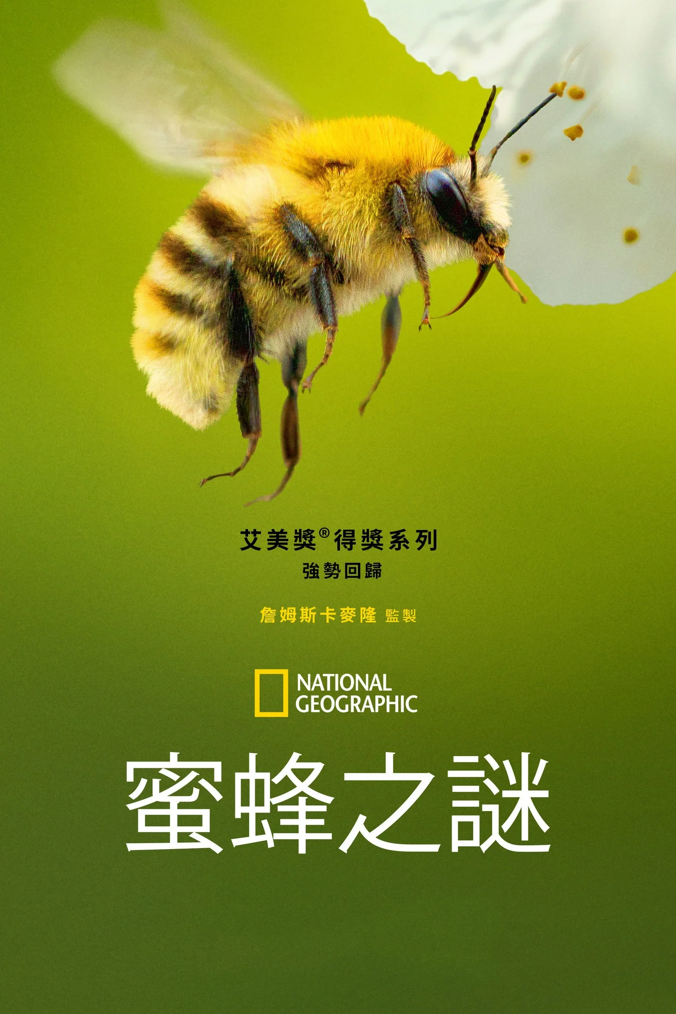 蜜蜂的秘密