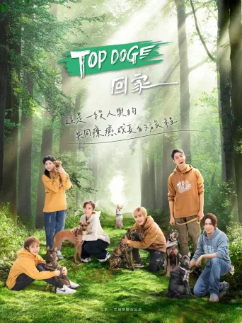 TOP DOG回家