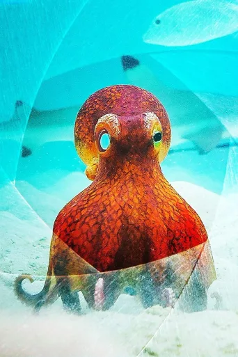 海洋间谍