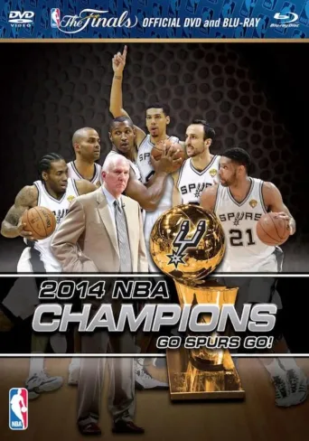 2014年NBA总决赛