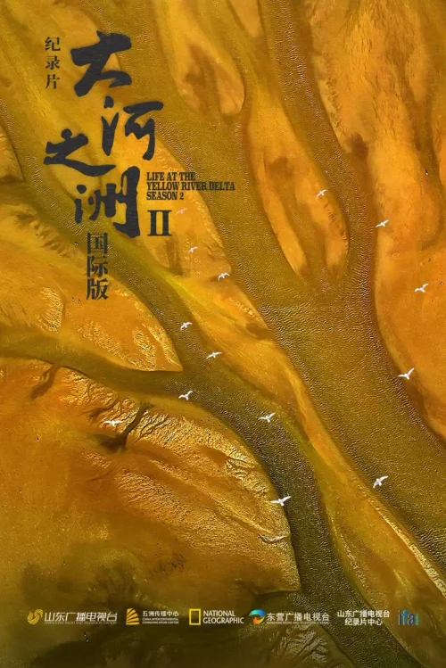 第二季