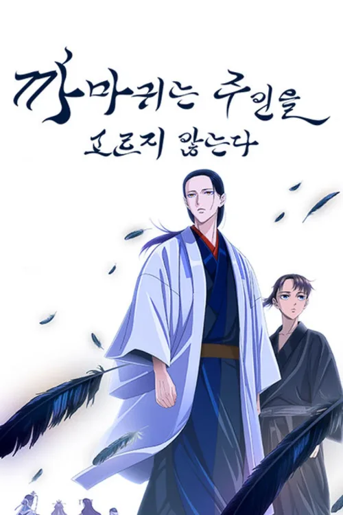 特别篇