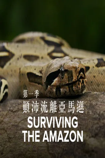 挑战亚马逊