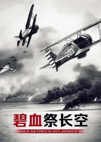 碧血祭长空