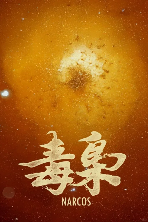 穿越新大陆