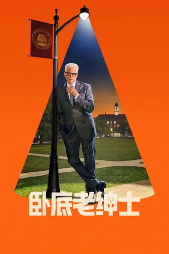 新手老卧底