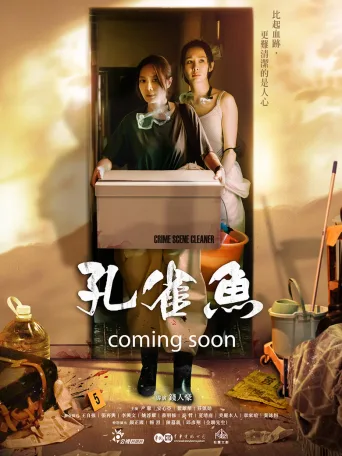 孔雀鱼