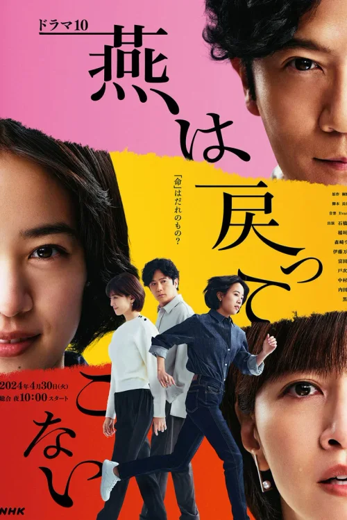 燕子不再归来