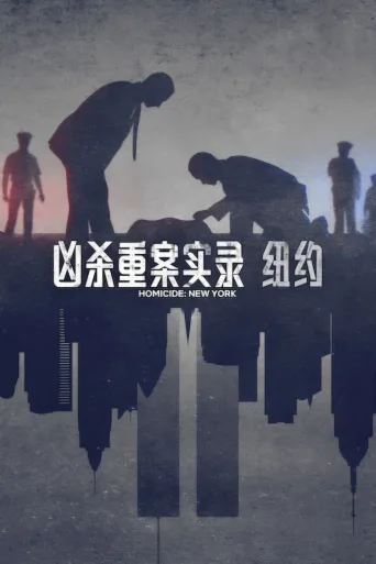 凶杀重案实录：纽约