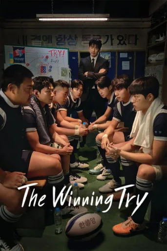 TRY：我们成为奇迹