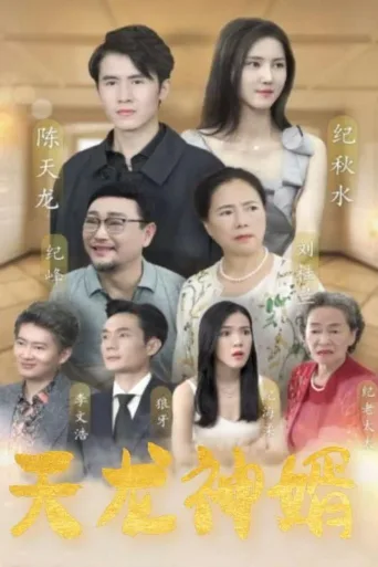 天龙神婿