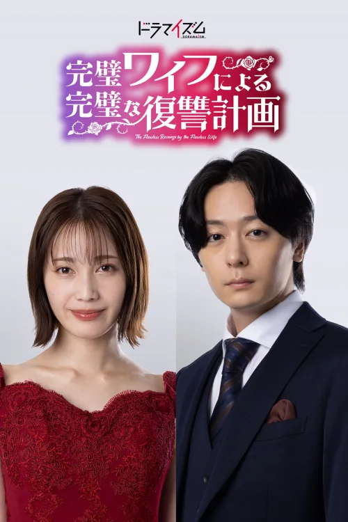 完美妻子的完美复仇计划