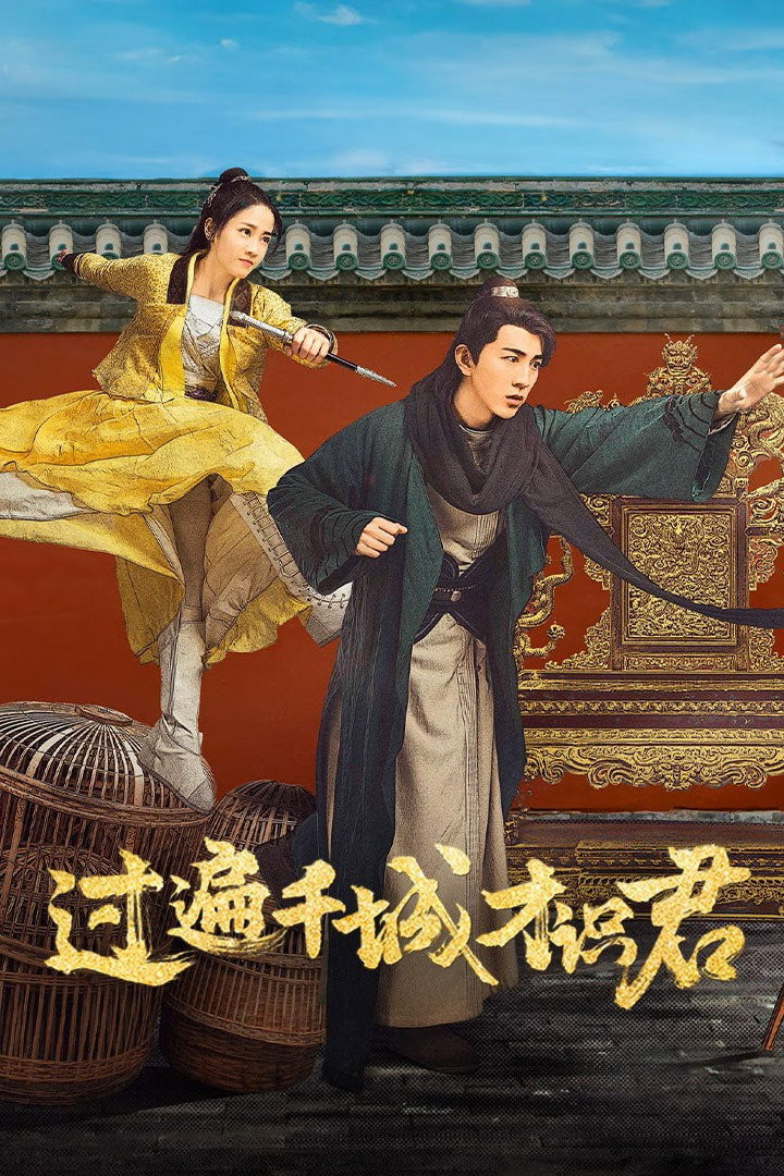 过遍千城才识君 第 1 季