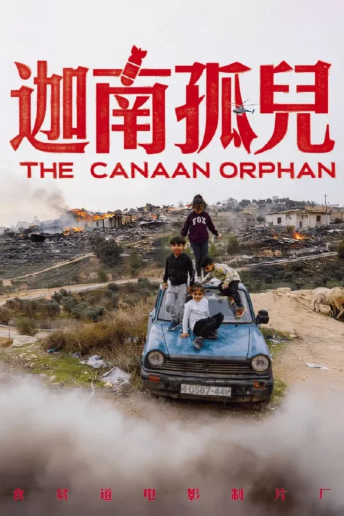 中东大宝荐