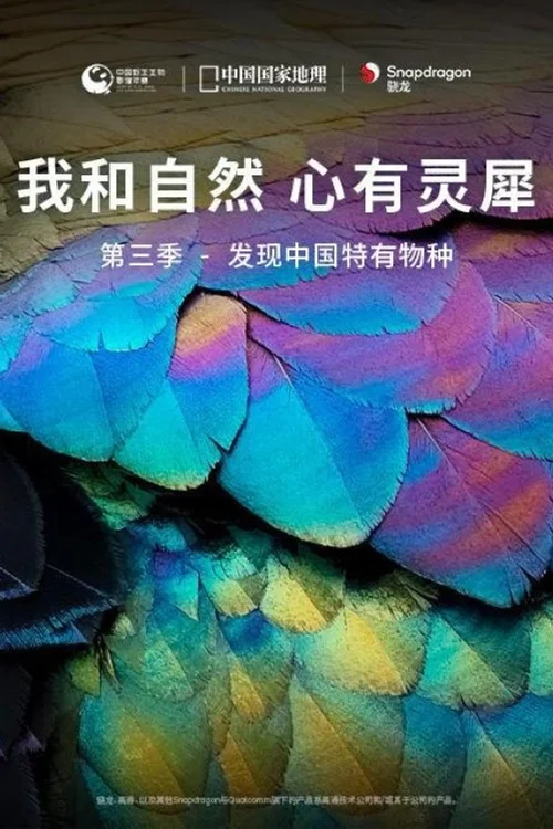 第三季 - 发现中国特有物种
