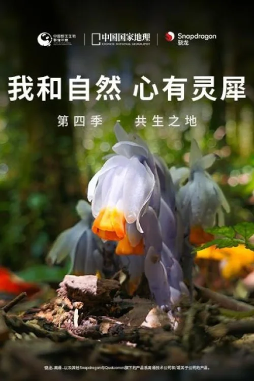 第四季 - 共生之地