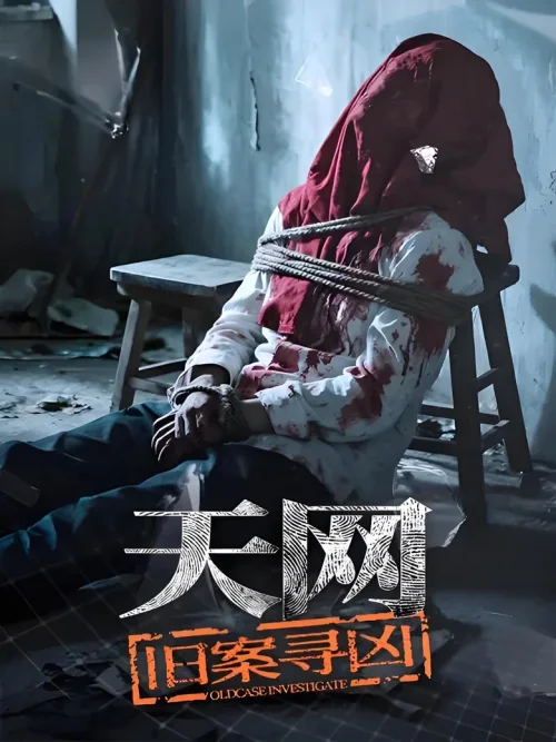天网：旧案寻凶