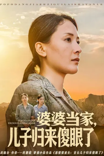 婆婆当家，儿子归来傻眼了
