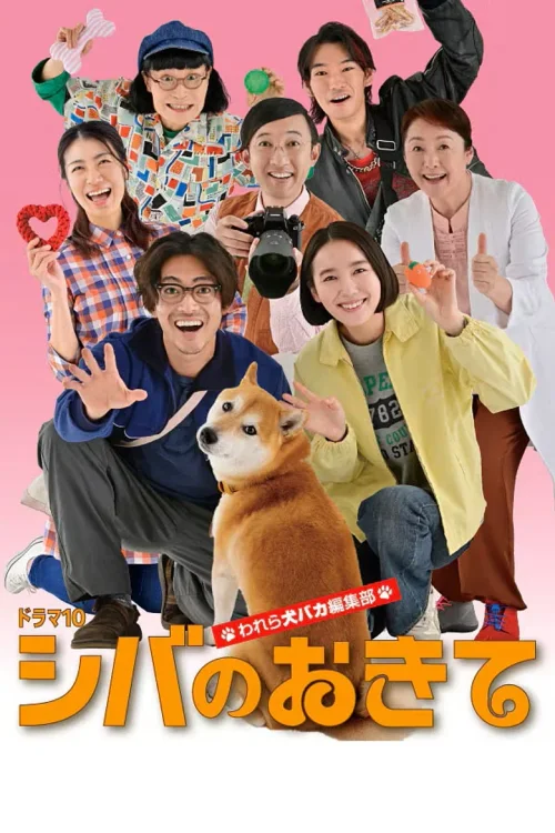 柴犬的规矩～我们这群狗痴编辑部～