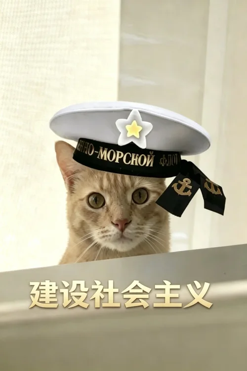 建设社会主义