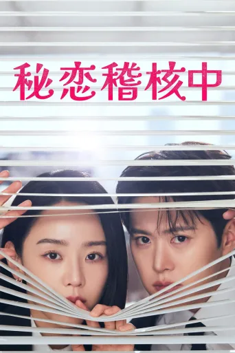 秘恋稽核中