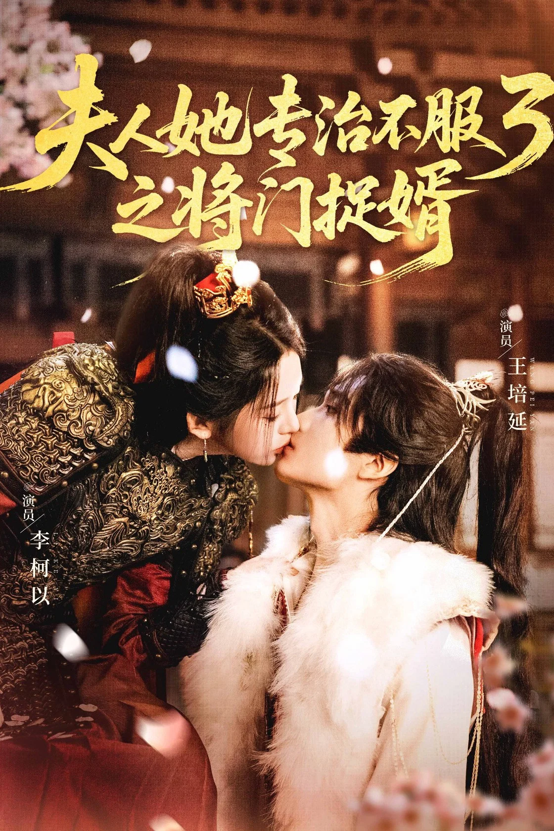 将门捉婿
