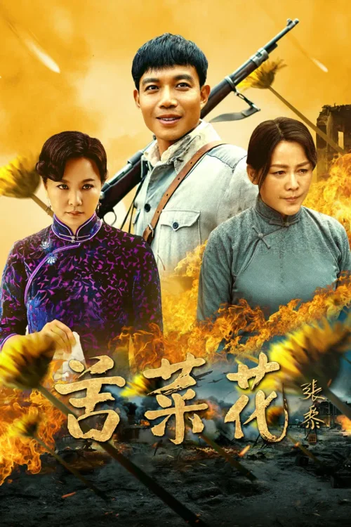 苦菜花
