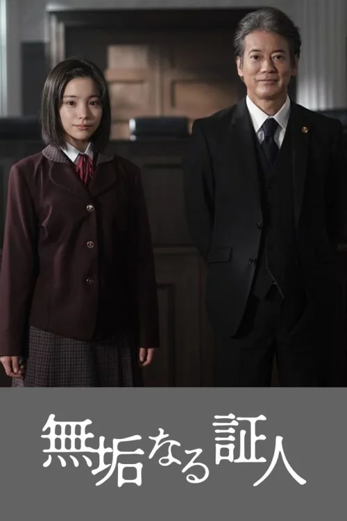 无垢的证人